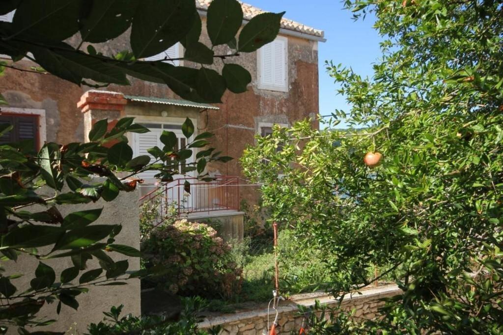 Apartments Zoki - Great Location Close To The Sea Віс Екстер'єр фото